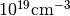 10^{19} \mathrm{cm}^{-3}